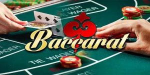 Tool Dự Đoán Baccarat – Trợ Thủ Đắc Lực Cho Mọi Người Chơi